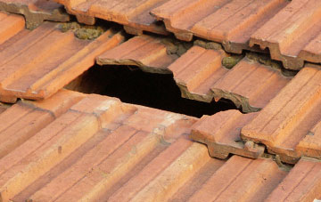 roof repair Higher Sandford, Dorset